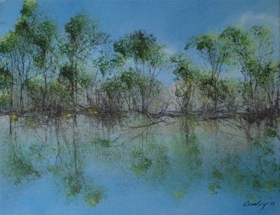 Summer at Belmont Lake